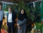 نمایشگاه تبیین دستاوردها، اقدامات و خدمات دولت در استان کرمان افتتاح شد
