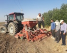 آغاز کشت‌های پاییزه با کاشت کلزا در ایستگاه‌های مهرگان و اسلام‌آباد کرمانشاه آغاز شد