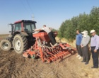 آغاز کشت‌های پاییزه با کاشت کلزا در ایستگاه‌های مهرگان و اسلام‌آباد کرمانشاه آغاز شد
