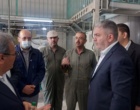 کیفیت و نوآوری در تولید سموم کشاورزی و دفع آفات نباتی در بازدید از شرکت کاوش کیمیا کرمان