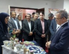 بازدید رئیس سازمان تحقیقات، آموزش و ترویج کشاورزی و هیئت همراه از مرکز رشد تخصصی کشاورزی کرمان
