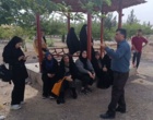 مهارت‌آموزی هنرجویان کشاورزی با دوره «تولید نهال و جنگل‌کاری» در فصل تابستان