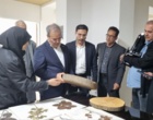 تأکید بر پیوند پژوهش با مزرعه