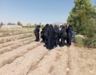 تور علمی و آموزشی هنرجویان رشته امور زراعی در ایستگاه تحقیقات سمنان به مناسبت آغاز سال تحصیلی جدید