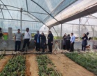 کارگاه آموزشی مدیریت پسماندهای کشاورزی در اراضی زراعی و باغی شهرستان سیرجان
