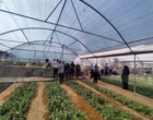 کارگاه آموزشی مدیریت پسماندهای کشاورزی در اراضی زراعی و باغی شهرستان سیرجان