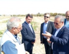 پیمان جدید علم و مزرعه؛ سفر رییس سازمان تات برای ترسیم فردای کشاورزی ایران