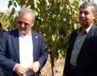 پیمان جدید علم و مزرعه؛ سفر رییس سازمان تات برای ترسیم فردای کشاورزی ایران