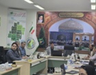 تولید نهال‌های بومی با رویکرد اقتصادی و همکاری‌های پژوهشی در راستای احیای منابع طبیعی