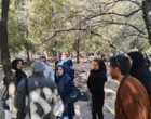 بررسی عارضه خشکیدگی درختان باغات سیرچ استان کرمان