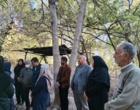 بررسی عارضه خشکیدگی درختان باغات سیرچ استان کرمان
