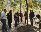 بررسی عارضه خشکیدگی درختان باغات سیرچ استان کرمان