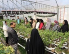 بازدید مددجویان کمیته امداد امام خمینی(ره) شهرستان فردیس از ظرفیت‌های فناورانه و دانش‌بنیان مرکز آموزش عالی امام خمینی(ره)