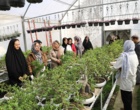بازدید مددجویان کمیته امداد امام خمینی(ره) شهرستان فردیس از ظرفیت‌های فناورانه و دانش‌بنیان مرکز آموزش عالی امام خمینی(ره)