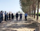 برگزاری روز مزرعه با محور «ارتقای بهره‌وری مصرف آب» در کشاورزی استان سمنان