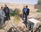 بازدید میدانی مدیران سازمان تحقیقات آموزش و ترویج کشاورزی (تات) از واحد آموزش آرادان