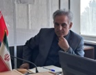 رئیس مؤسسه تحقیقات گیاه‌پزشکی: برای نجات بلوط‌های زاگرس باید به سراغ ارقام مقاوم برویم