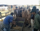 بازدید کارکنان وظیفه از واحد پرورش دام سبک گوسفند و بز