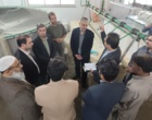 پیوند دانشگاه و مزرعه، راهبرد کلیدی توسعه کشاورزی استان است