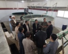 پیوند دانشگاه و مزرعه، راهبرد کلیدی توسعه کشاورزی استان است