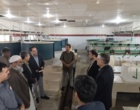 پیوند دانشگاه و مزرعه، راهبرد کلیدی توسعه کشاورزی استان است