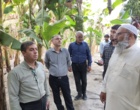 بازدید از اراضی کشت موز ایستگاه باهوکلات چابهار