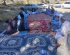 دوره آموزشی "تغذیه نخلستان" در روستای دادکان ایرندگان