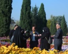 جشنواره گل های داوودی