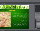 دوره آموزشی "اهمیت استفاده از بذور گواهی‌شده برنج" راهی به سوی کشاورزی پایدار