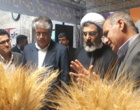 نمایشگاه پژوهش ۱۴۰۴ با مشارکت فعال مراکز علمی و تحقیقاتی در دانشگاه ملی مهارت برگزار شد