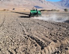کاشت لاین‌های امیدبخش گندم نان و دوروم در روستای سمنگان صحنه