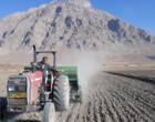 کاشت لاین‌های امیدبخش گندم نان و دوروم در روستای سمنگان صحنه