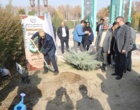 تاکید مسئولان جهاد کشاورزی استان البرز و رئیس مرکز امام خمینی(ره) بر لزوم حفاظت از خاک و توسعه کشاورزی پایدار