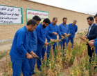 برگزاری دوره آموزشی تخصصی «مدیریت برداشت مزارع کینوا» ویژه زندانیان