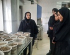 برگزاری تور علمی–آموزشی دانشجویان محیط‌زیست مهدیشهر در مرکز تحقیقات کشاورزی و منابع طبیعی استان سمنان