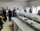 برگزاری تور علمی–آموزشی دانشجویان محیط‌زیست مهدیشهر در مرکز تحقیقات کشاورزی و منابع طبیعی استان سمنان