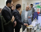 رونمایی از نسل F2 بچه‌ماهی باس دریایی آسیایی تولید شده در ایستگاه تحقیقات ماهیان دریایی بندر امام خمینی