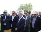 نگاه دو معاون وزیر به مزارع کلیدی غلات و دانه‌های روغنی