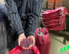 نظارت بر نخستین واحد دارای مجوز تولید بذر حبوبات آبی در کردستان