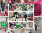 نظارت بر نخستین واحد دارای مجوز تولید بذر حبوبات آبی در کردستان