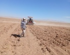 عملیات آماده سازی زمین و پایش جمعیت علف‌های هرز مزرعه گندم دیم در روستای نجف‌آباد آشتیان