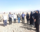 گامی نوین در مدیریت مکانیزاسیون و غلات دیم با اجرای طرح شبکه مزارع الگویی در لرستان