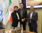 ربانی‌نسب: امنیت غذایی کشورهای همسایه در گرو همکاری‌های علمی و تبادل فناوری است