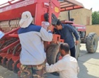 کشت ۵ هکتار مزرعه بذری کلزا رقم نیلوفر در لرستان/ تامین بذر گواهی‌شده مورد نیاز مناطق سرد و معتدل استان برای سال زراعی آینده