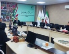 تأکید بر گذار به تولید نهال پیوندی انگور در کشور