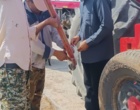 آغاز عملیات کاشت و آماده‌سازی اراضی ایستگاه تحقیقاتی سراب چنگایی خرم‌آباد به منظور اجرای طرح پژوهشی «تاثیر روش آبیاری و تاریخ برداشت در مدیریت سنک کلزا»