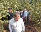 بازدید رئیس مؤسسه تحقیقات علوم باغبانی و رئیس مؤسسه تحقیقات جنگل‌ها و مراتع کشور از ایستگاه تحقیقاتی عباس‌آباد آستارا