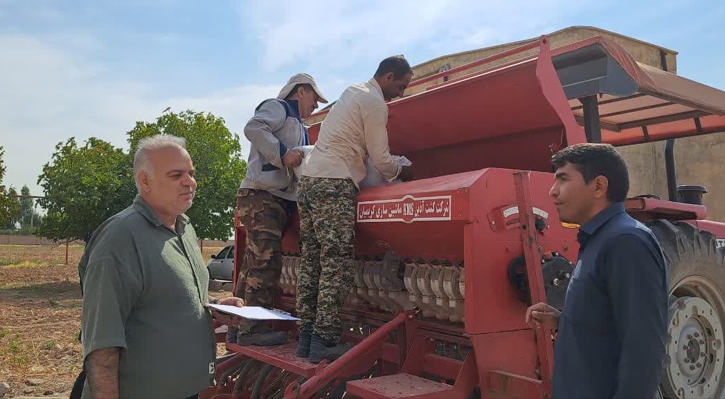 کشت ۵ هکتار مزرعه بذری کلزا رقم نیلوفر در لرستان/ تامین بذر گواهی‌شده مورد نیاز مناطق سرد و معتدل استان برای سال زراعی آینده