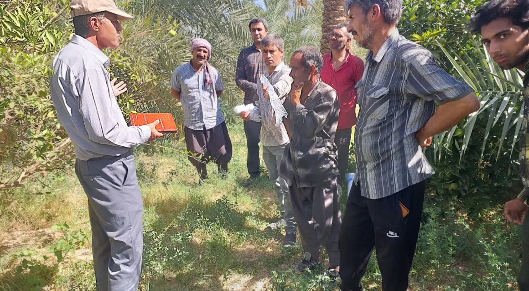 آموزش عملی مقابله با نماتد مرکبات در فهرج