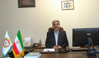 برداشت و پس از برداشت آووکادو؛ از تشخیص زمان مناسب برداشت تا حفظ کیفیت میوه